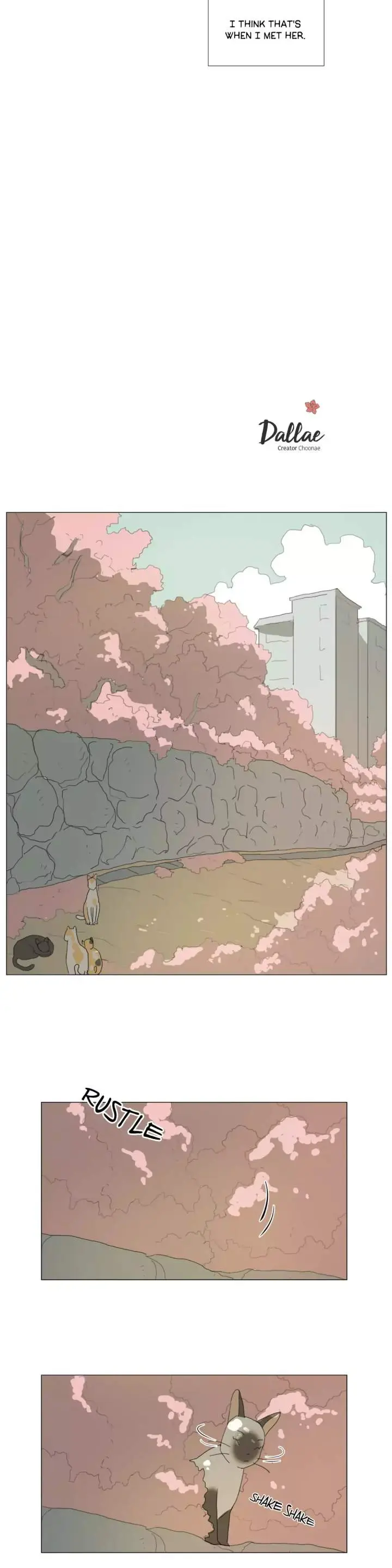 Dallae Episode 6 - Page 5