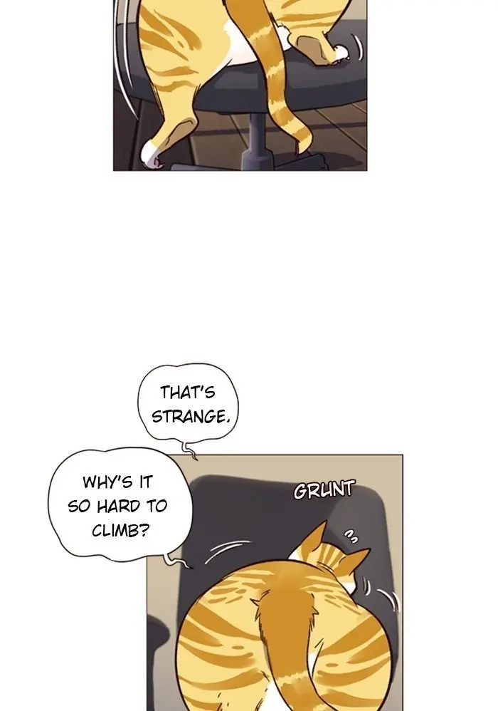 Eleceed Episode 1 - Page 96