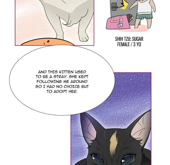Sugar ‘N Spice Episode 1 - Page 17