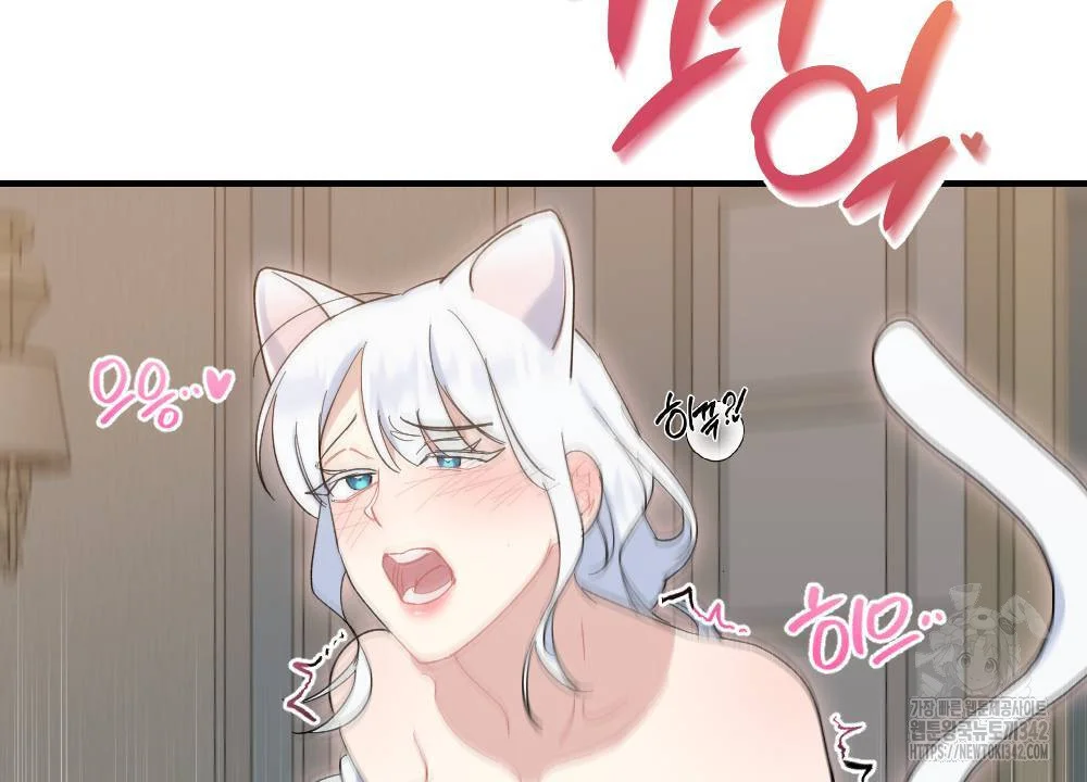 The Circumstances of a White Cat Bitten by the Black Panther Count Episode 15 - Page 45