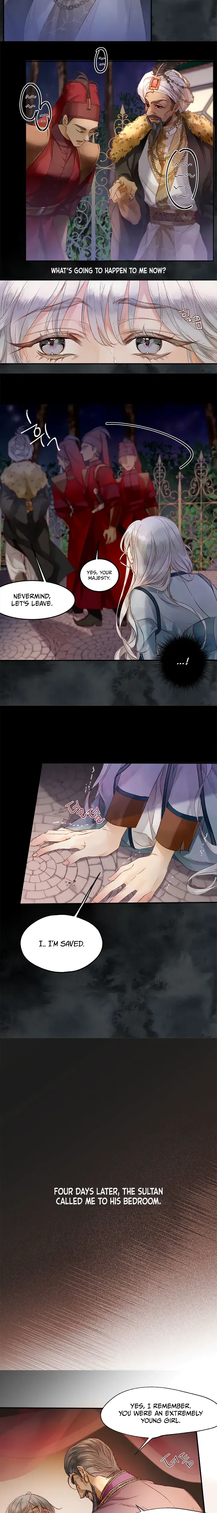 The Sultan's Love Episode 1 - Page 8