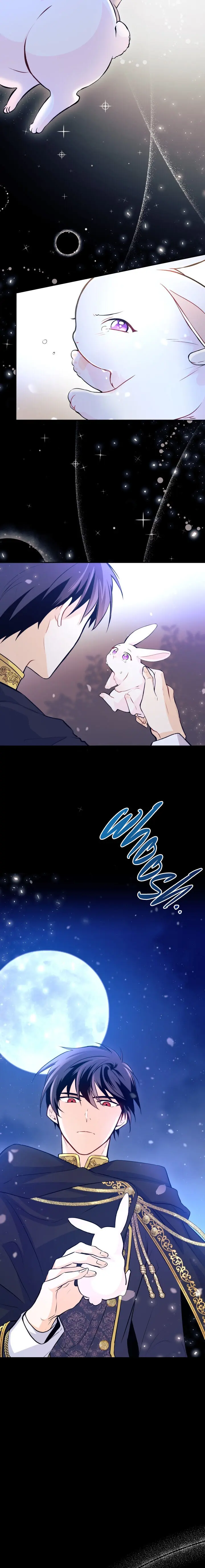 The Symbiotic Relationship Between A Rabbit and A Black Panther Episode 1 - Page 12