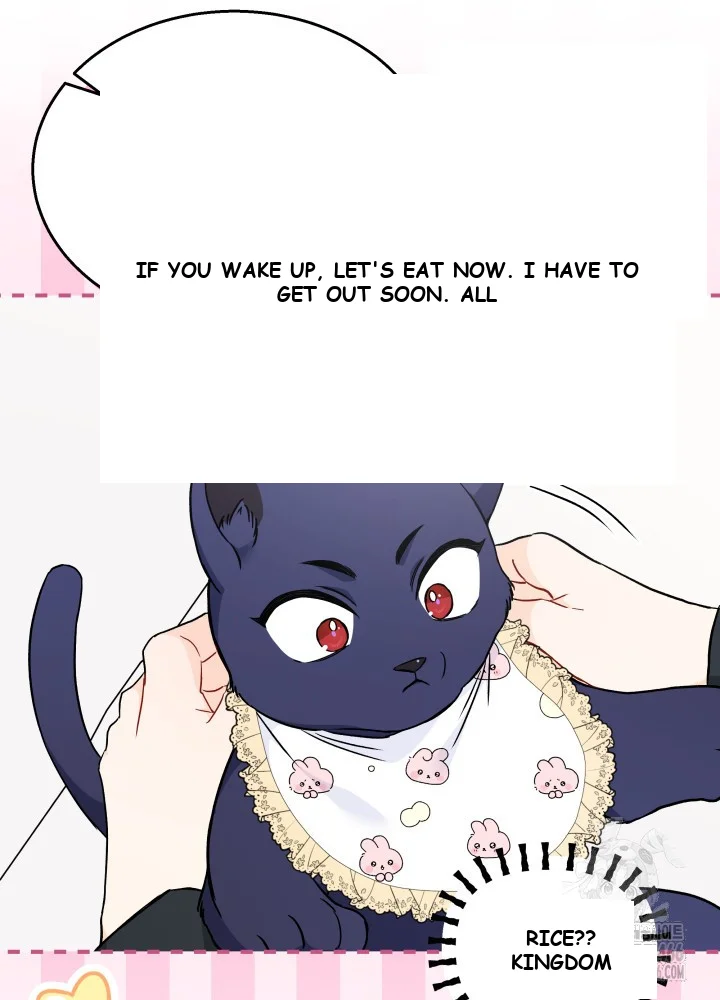 The Symbiotic Relationship Between A Rabbit and A Black Panther Episode 162 - Page 13