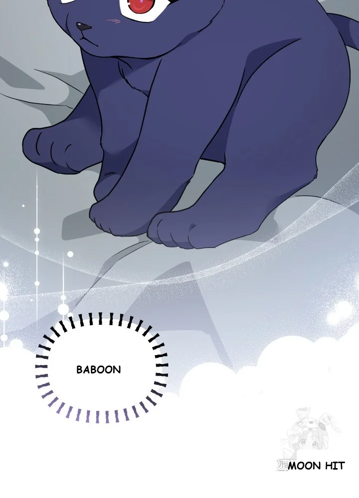 The Symbiotic Relationship Between A Rabbit and A Black Panther Episode 162 - Page 218