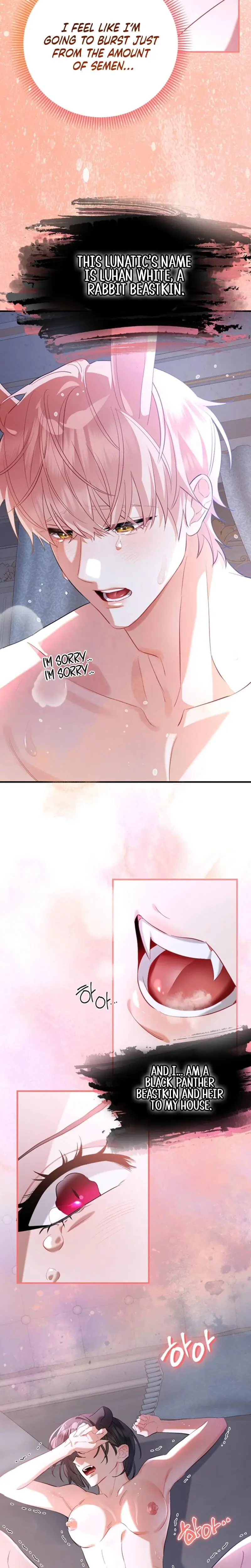 There's No Way I'd Be Satisfied With a Rabbit Husband! Episode 1 - Page 4